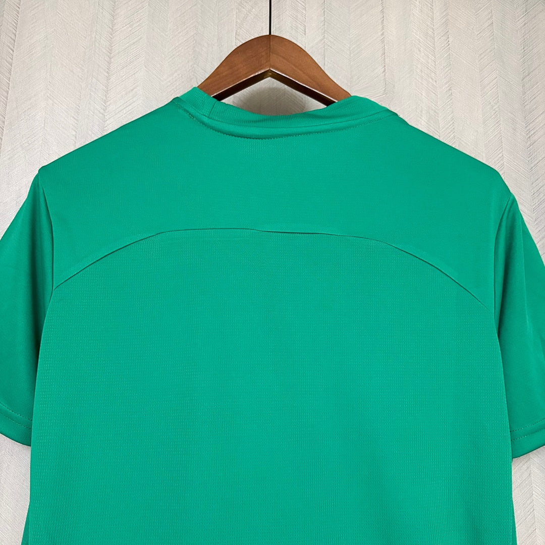 Camisa Fluminense Treino Verde 26/27 - Puma Torcedor Masculina