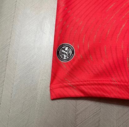 Camisa Suiça 26/27 - Home Puma Jogador Masculina