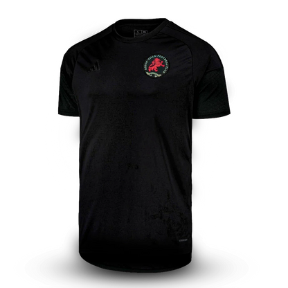 Camisa Aston Villa Edição Especial 50 Anos 25/26 - Adidas Torcedor Masculina Lançamento
