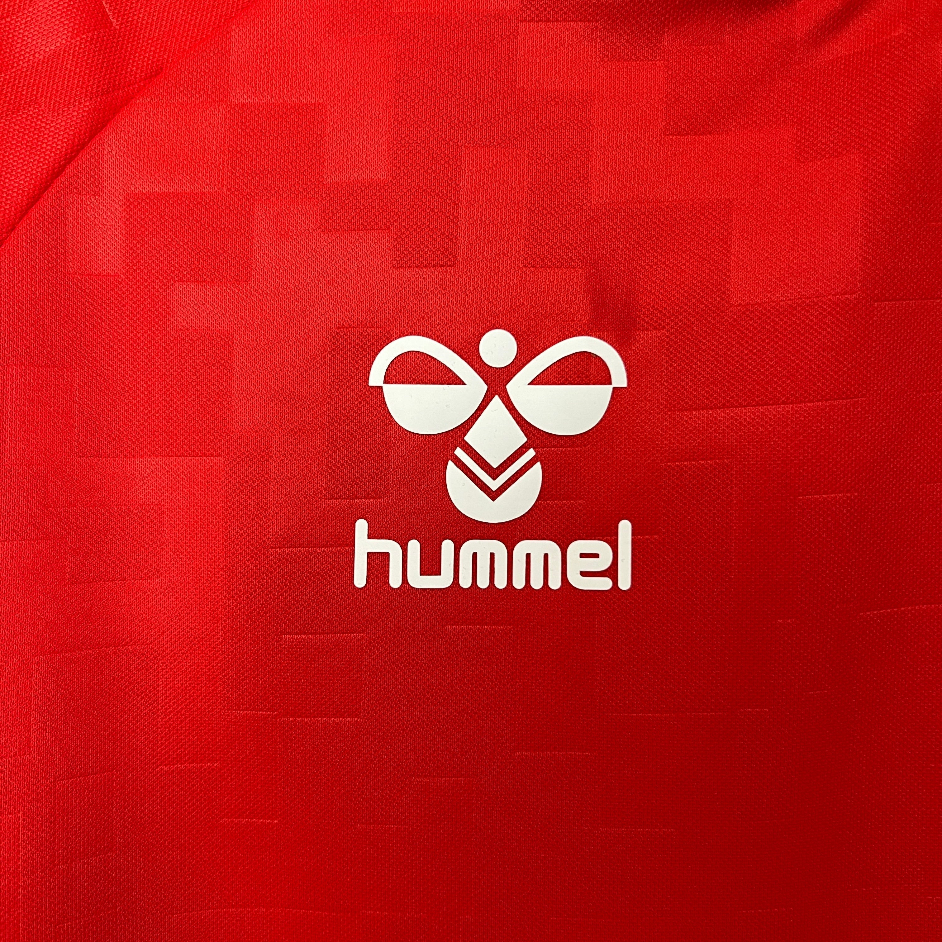Camisa Dinamarca Home 24/25 - Torcedor Masculina Lançamento