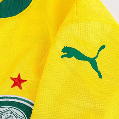 Camisa Palmeiras Third 25/26 - Torcedor Puma Masculina